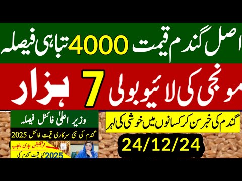 today wheat price in punjab//گندم کا ریٹ/25 '2024/munji makki till sarso/galla mandi rates today1509