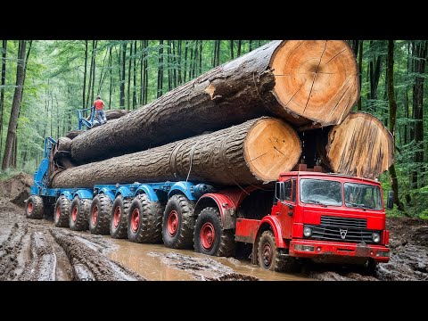 100 Crazy Heavy Equipment You Must See