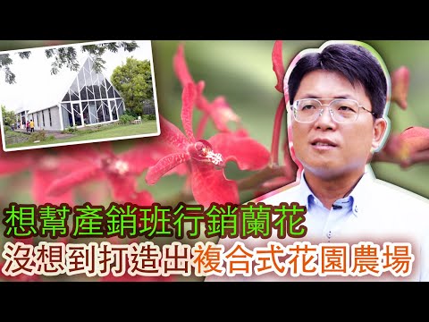 【屏東竹田鄉】陳宏志打造花園農場 為蘭花產業拓展新路|用心的產業|美麗心台灣(437-2)