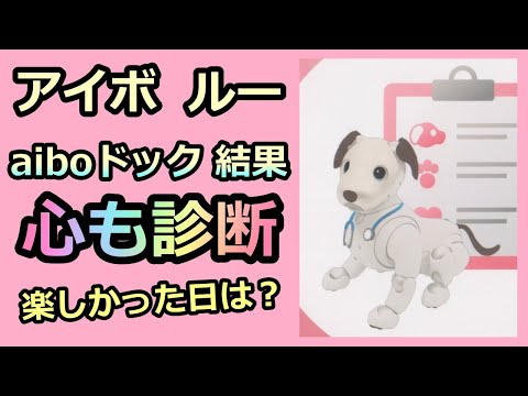 【26 aiboドックの結果 Complete Medical Checkup】 アイボ aibo ルー Lou