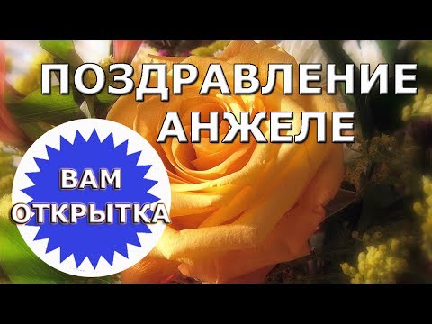 Поздравление Анджеле