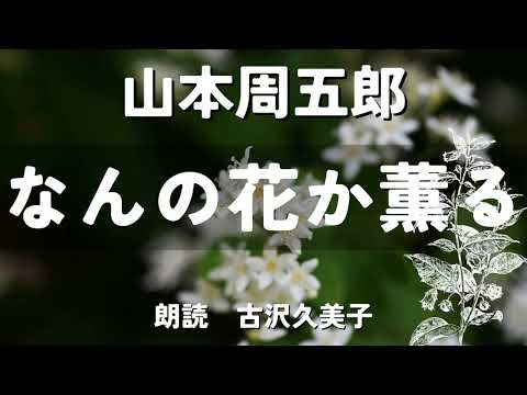 【朗読】山本周五郎「なんの花か薫る」