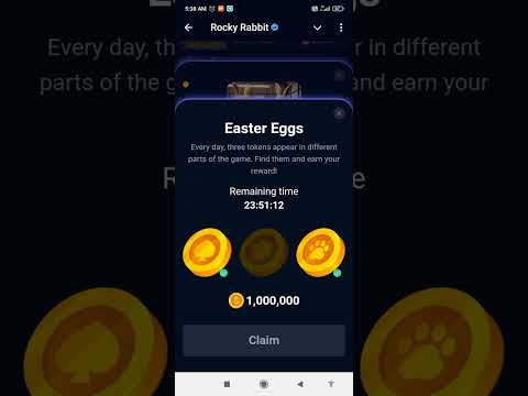 Rocky Rabbit Easter Egg 8 September | Rocky Rabbit Easter Egg Daily combo  | Today Easter egg