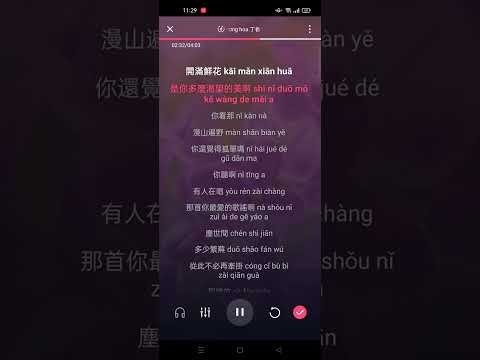 Đinh hương hoa - Thất Nguyên (Bản nữ) || 丁香花 [七元] Karaoke Pinyin