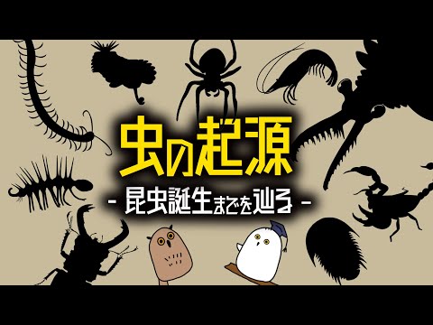 【ゆっくり解説】動物の上陸とデボン紀初期までの古昆虫【 古生物 / 進化論 / 科学 / 生命の歴史⑫ 】