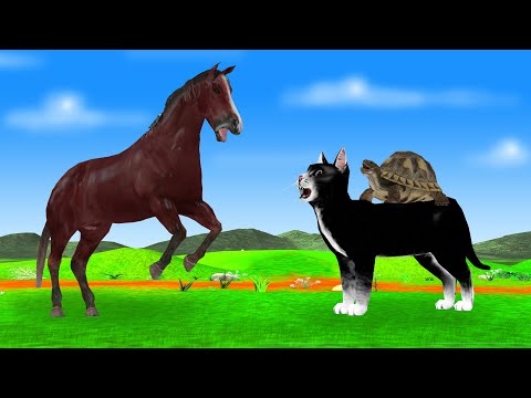 घोड़ा और बिल्ली कछुआ की दोस्ति कहानी hindi kahaniya - Hindi moral stories - Panchatantra fairy tales