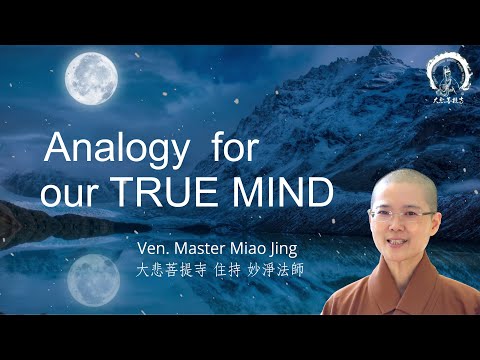 The Analogy for Ture Mind | Zen Theory for Mindfulness | Ven, Abbess Master Miao Jing