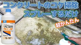 【コンクリートのコケ掃除】自作スプレーのみでかんたん除去！【梅雨の苔掃除動画】