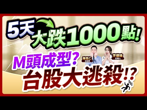 (CC字幕)【5天大跌1000點！M頭成型？台股大逃殺!?】2024.11.14 台股盤後