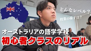 【留学・英語力０】語学学校の初心者クラスの授業ってどんな感じ！？