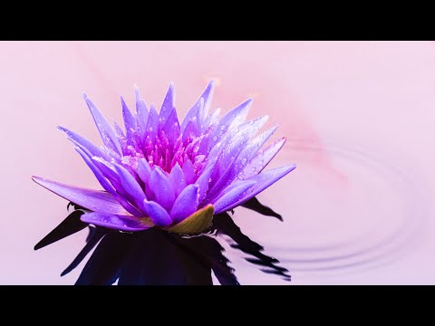 Miracle Tones Music | 432Hz Positive Mind | Meditation Music For Self Healing | Ancient Frequency