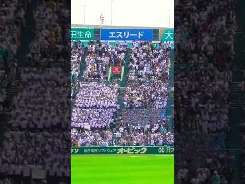 慶應義塾【若き血】阪神甲子園球場 #shorts #慶應 #若き血 #応援図鑑