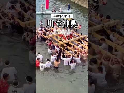 夏の祭は暑いけれど、川の中なら涼しそう‼️伝統の川渡御の勇壮な姿を、皆で橋から見守っています😃 #神輿 #祭り #伝統文化 #japaneseculture #matsuri