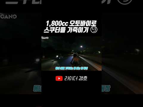 1,800cc 할리데이비슨으로 스쿠터 기죽이기 #shorts