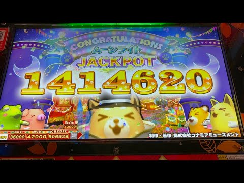 [アニマロッタ] ムーンライトJACKPOT 1414620WIN