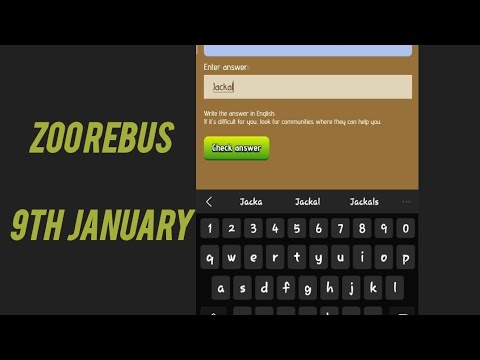 ribus of the day on 9th January |zoo ribus to day zoo airdrop|#zooairdrop |||