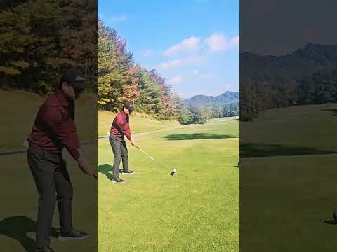 ドライバーの精度、あがってる #golf #golfshorts #ゴルフ #ゴルフラウンド動画 #golfswing