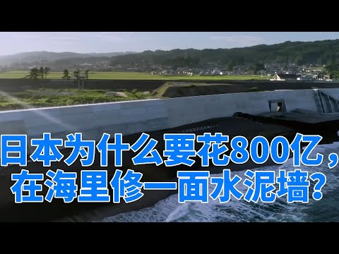 日本为什么要花800亿在海里修一面水泥墙？有啥效果？