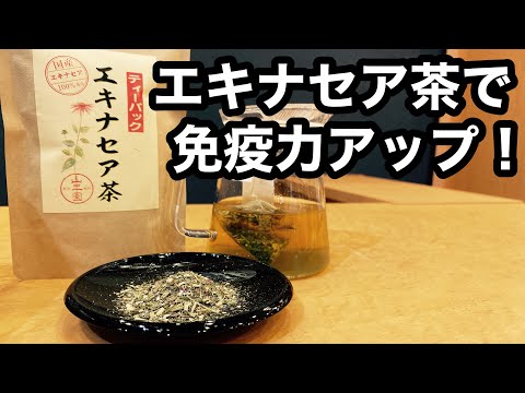 美味しい健康茶の淹れ方　エキナセア茶編