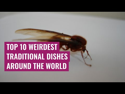 Top 10 Weirdest Traditional Dishes Around the World