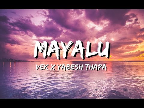 Mayalu - vek x yabesh thapa (lyric)