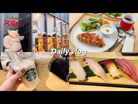 A day spent in Nagoya with friends👭｜Nagoya specialty misokatsu Yabaton🐷｜Toyota cafe┊think