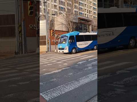 처음 보는 차/오산 250320