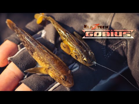 The New Pre-Rigged GOBIUS