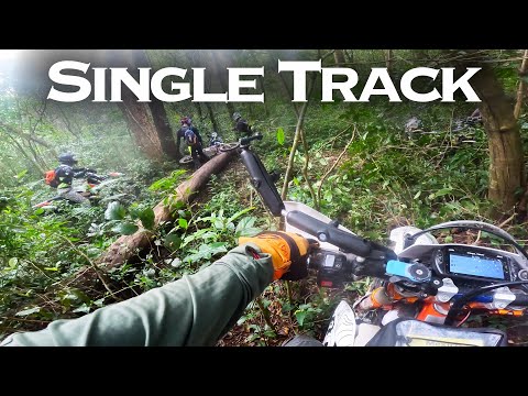 Panama Single track Nuked my Bike! (Exploring Boquete) Ep | 70