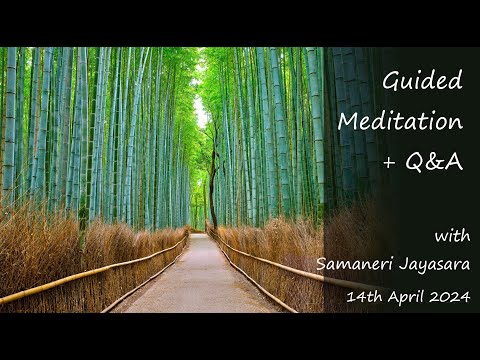 Guided Meditation + Q&A with Samaneri Jayasara ~ Sunday 14th April @ 7am AEST