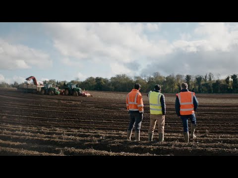 Sustainable spuds: producing the perfect potato