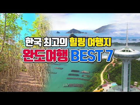 한국 최고의 힐링 여행지 완도여행 BEST7 /11월 국내여행지 추천 /11월에 가볼만한곳 /섬여행 추천 /완도 가볼만한곳 /만병통치약 황칠나무 /카페 추천 /보길도 여행