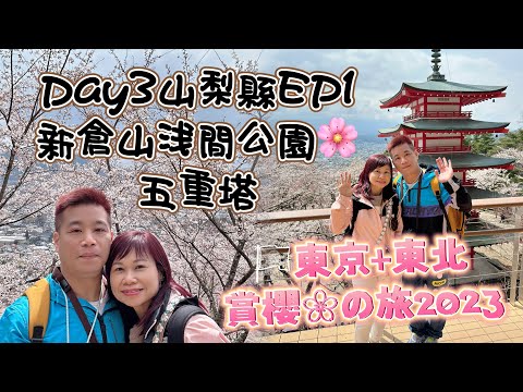 新倉山浅間公園賞櫻🌸2023