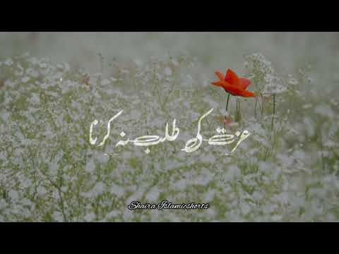 Kabi Duniya Walon Se Izzat Ki Talab Na Karo 🥀 Islamic WhatsApp Status |