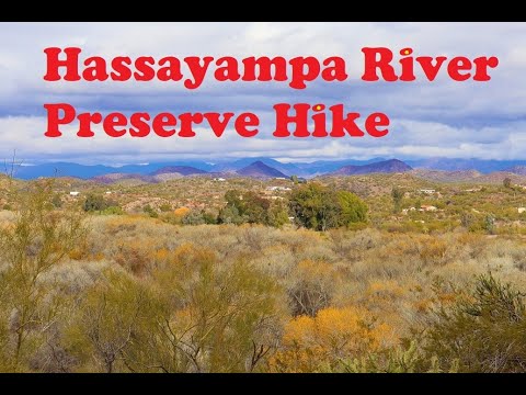 Hassayampa River Preserve Hike