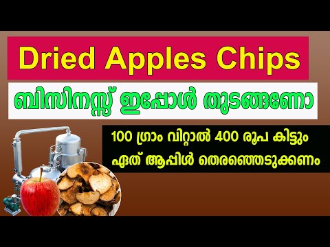 100 ഗ്രാം വിറ്റാൽ 400 രൂപ ആപ്പിൾ ചിപ്സ് ബിസിനസ്സ് Apple chips Making Business Idea Malayalam