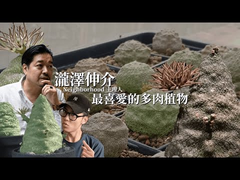 NEIGHBORHOOD主理人 瀧澤伸介 最喜愛的多肉植物!! 貌似外星生物!? 擬蹄玉 凝蹄玉