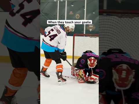 When they touch your goalie…  @tomjstewart #hockey #pavelbarber