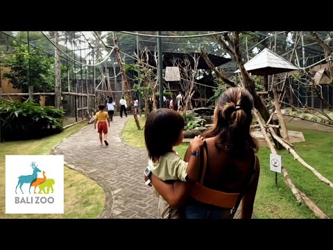 【家族旅行】大人気の動物園『Bali Zoo / バリ・ズー』に遊びに行きました