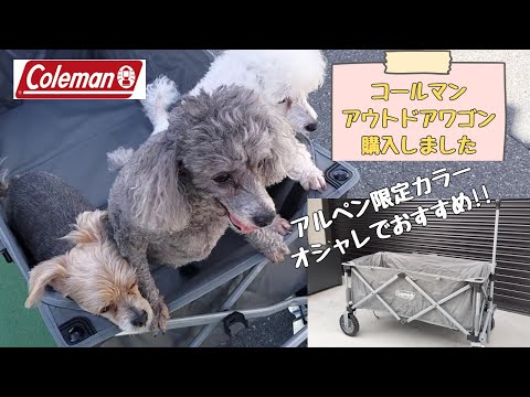 【キャンプ】コールマンのアウトドアワゴン「アルペン限定カラー」を購入♪バーベキュー用品やテントなど荷物運びにとっても便利！犬を乗せてお散歩してみたよ♪【キャリーワゴン】