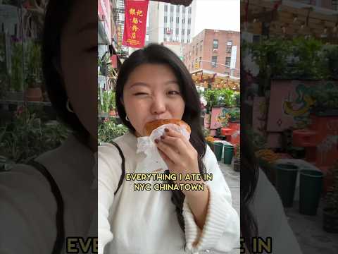 Everything I ate in NYC Chinatown 🥟