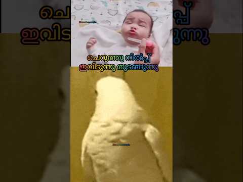 Real Struggling Person😂😂ഇതൊരു തുടക്കം മാത്രം 😂😂#youtubeshorts #pregnancy #postpartum #shorts