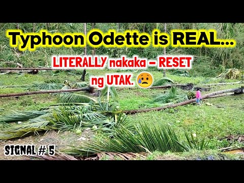 Disaster / Typhoon Odette / Signal No. 5 / Alicia, Bohol by Anak Bukid