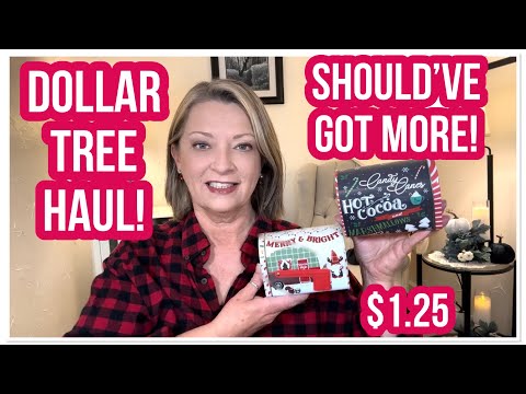 DOLLAR TREE HAUL | Should’ve Got More | $1.25 | WOW | LOVE THE DT😁 #haul #dollartree #dollartreehaul