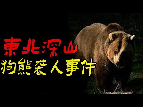 东北深山狗熊袭人事件|东北邪事之大蟒说话了|东北变态二舅妈|鬼故事|恐怖故事|解压故事|灵异#都市傳說#靈異事件#天津#佛牌#泰国#恐怖故事#亲身经历#助眠#北京#睡前故事#懸疑#情感#新疆#催眠