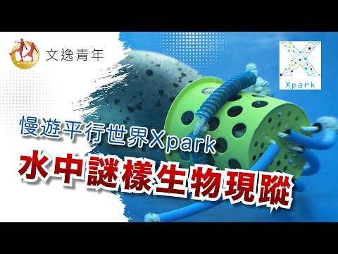 桃園海生館？漫遊平行世界Xpark，不只是海洋公園的生態世界。