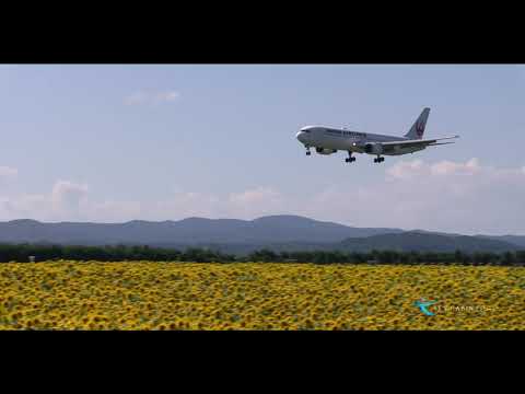 【JAL×向日葵 女満別空港2020】Japan Airlines(JAL) Boeing767-300ER JA603J