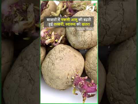 बाजारों में नकली आलू की बढ़ती हुई तस्करी, स्वास्थ्य को खतरा | Fake Potato | Unhealthy | Be Safe