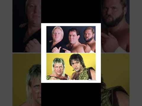 Rock 'n' Roll Express or Brain Busters? #shorts #arnanderson #wwe #fypage #fypyoutube #fypシ゚ #fyp