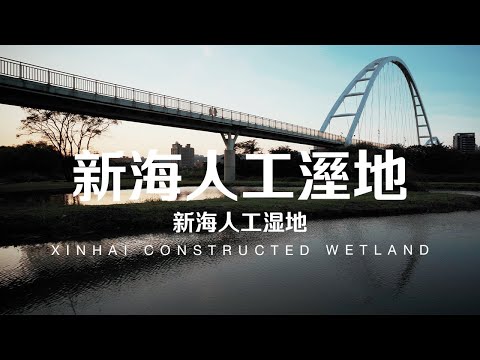 Taiwan Travel: Xinhai Constructed Wetland | New Taipei City